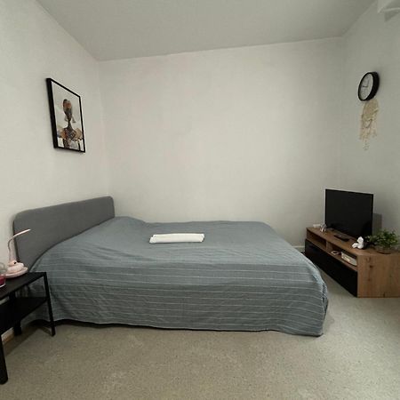Appartement Au Coeur Strasbourg Eksteriør billede