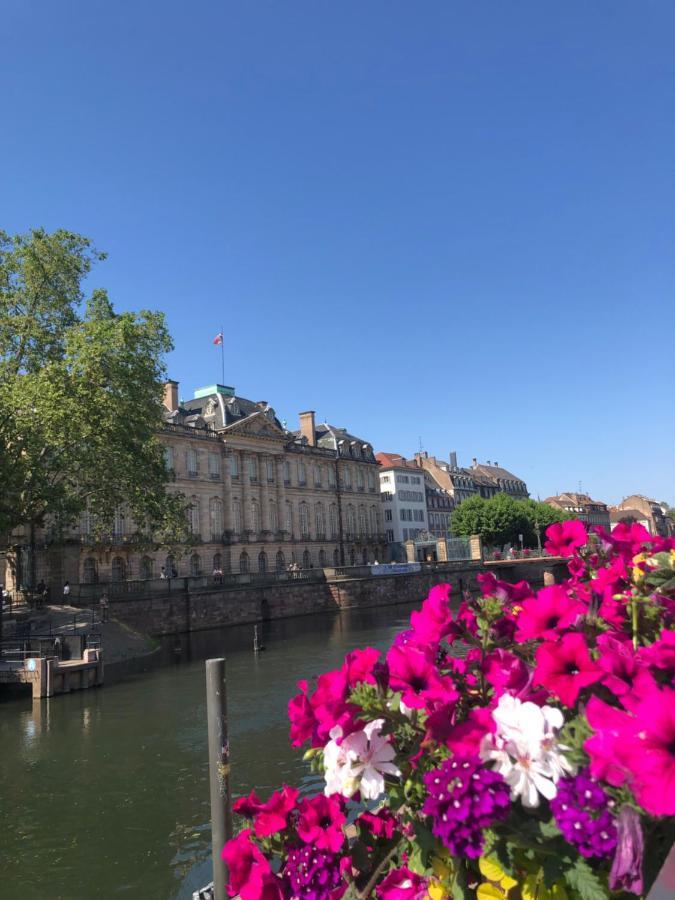Appartement Au Coeur Strasbourg Eksteriør billede